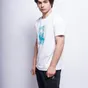 variant-belyi-64
